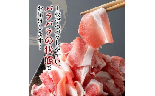 【12ヶ月定期便】宮崎県産豚肉　放牧豚パラパラ小間切れ1.25kg（250g×5袋）【 豚肉 豚 肉 小間切れ 細切れ 炒め物 】[C08104t12]