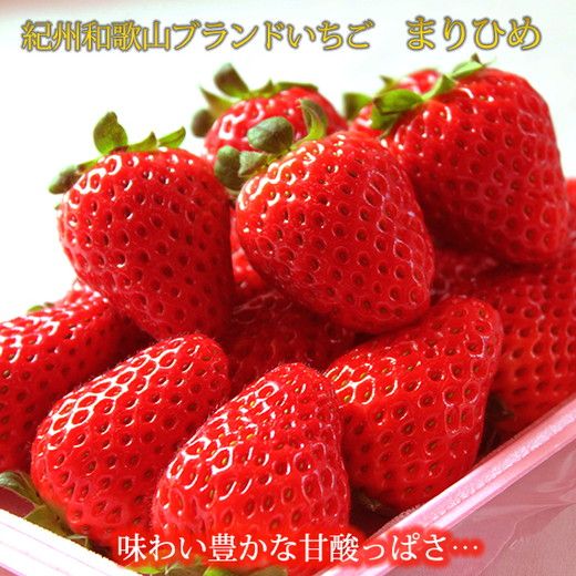 【定期便】【1・2・3月 全3回】紀州和歌山産旬 フルーツ定期便（いちご  約250g×4P 1月、ポンカン 5kg 2月、紀州デコ 約5kg 3月発送）