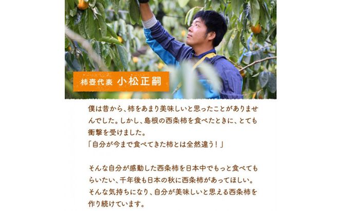【柿専業の農家が作る】謹撰大玉西条柿の干し柿 440g【11月下旬以降お届け】 322032_BK010