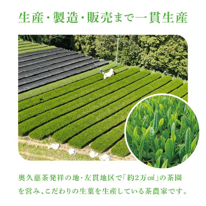 【農林水産大臣賞受賞】かねた園の奥久慈茶 大子銘茶 2種セット 計200g（100g×各1袋）（CK002）