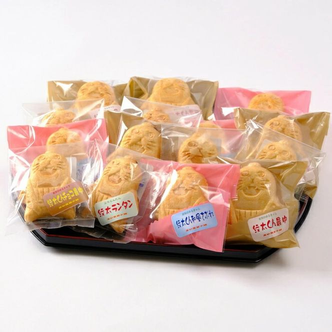 14-259 「紋太くん最中」和洋折衷15個セット（小豆餡・チョコ・フロランタン・和風さぶれ）
