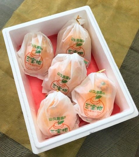 まるごと！　三宝柑シャーベット ※北海道・沖縄・離島への配送不可