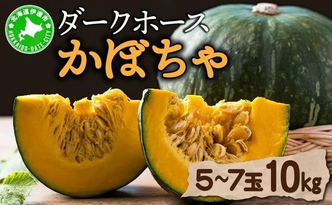 【 2026年 発送 】 先行予約 北海道 ダークホース かぼちゃ 5玉～7玉 約10kg カボチャ 南瓜 伊達野菜 産地直送 新鮮 採れたて 甘い ホクホク 煮物 天ぷら スープ プリン 詰め合わせ セット 木須農園 送料無料