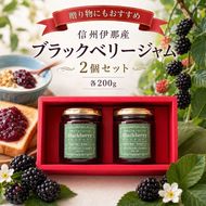 信州伊那産 ブラックベリー ジャム 200g 2個 セット | フルーツ ジャム ブラックベリー 完熟 つみたて 加工品 長野県 伊那市【010-e7】