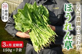 【定期便3回】ほうれん草 約1kg（150g x 7袋）【合計 約3kg】(H091119)