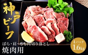 神戸牛 切り落とし 肉(バラ・肩・モモ)  1.6kg（小分け400g×4）/ 訳あり 牛肉 切り落とし 霜降り 但馬牛 黒毛和牛 和牛 国産牛 焼肉 やきにく アウトドア キャンプ BBQ 神戸ビーフ 太田牧場 TYS1-4 【但馬牛太田家】【2026年4月より順次発送】