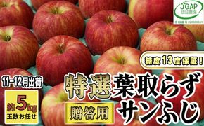 11～12月発送【 糖度保証 】 贈答用 葉取らず サンふじ 約 5kg 【 特選 】鶴翔りんごGAP部会 青森県産 津軽産 リンゴ 林檎 果物類 高糖度 ギフト 