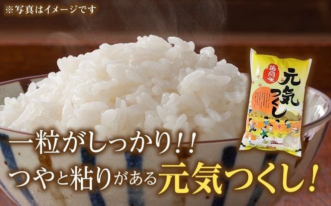 【令和5年産】福岡県産米食べ比べ「夢つくし」と「元気つくし」セット  無洗米  計10kg《築上町》【株式会社ゼロプラス】[ABDD014]