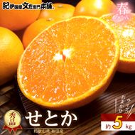 【2027年先行予約】せとか 秀品 約5kg 和歌山県有田産 春みかん 春柑橘 (果実サイズおまかせ)/紀伊国屋文左衛門本舗_V7410