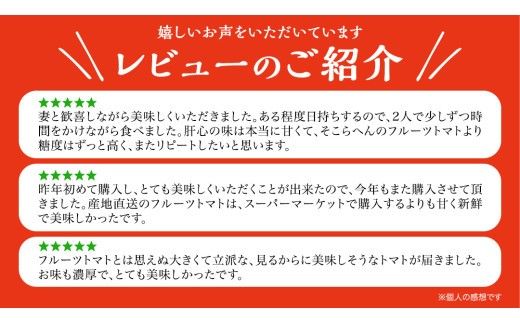 【 訳あり 】 スーパーフルーツトマト 大箱 約2.6kg × 1箱 【大玉 20～35玉】 2026年産 野菜ソムリエサミット 金賞 糖度9度 以上 野菜 フルーツトマト フルーツ トマト とまと 規格外 不揃い 傷 [AF055ci]
