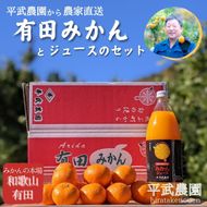 農家直送！有田みかん（約8kg Sサイズ 秀品）とジュースのセット 平武農園 ～蛍飛ぶ町から旬の便り～  	BX87