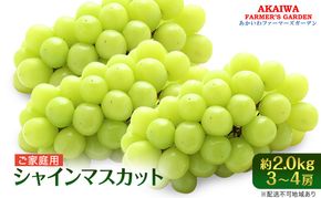 ぶどう 2026年 先行予約 ご家庭用 シャインマスカット 約2.0kg 3～4房 葡萄 フルーツ 果物 岡山 赤磐市産 あかいわファーマーズガーデン 人気 皮ごと 種無し 甘い