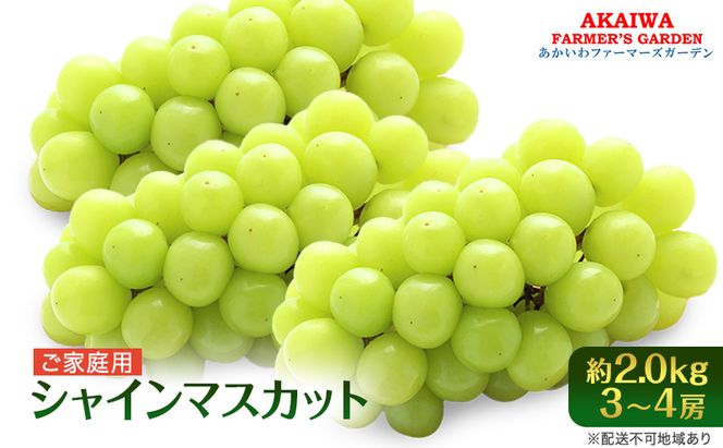 ぶどう 2026年 先行予約 ご家庭用 シャインマスカット 約2.0kg 3～4房 葡萄 フルーツ 果物 岡山 赤磐市産 あかいわファーマーズガーデン 人気 皮ごと 種無し 甘い