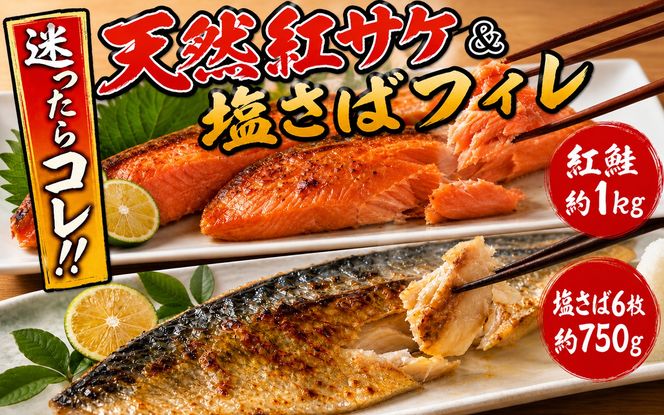 迷ったらコレ！！魚鶴商店の天然紅サケ１ｋｇ & 塩さばフィレ６枚セット【uot744B-1】