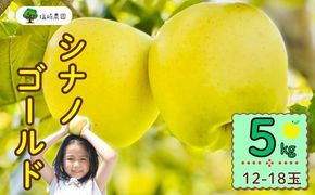 【先行予約丨2026年10月下旬より順次発送】シナノゴールド【約5kg (11〜20玉)】(At-015)丨長野県 飯山市 おすすめ ランキング おいしい 高評価 大人気 先取り 産地直送 りんご