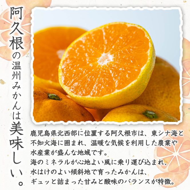 ＜先行予約受付中！2026年11月上旬以降順次発送予定＞数量限定！竹ん子山のみかん(約5kg) 国産 鹿児島県産 阿久根産 ミカン 蜜柑 みかん 柑橘 果物 フルーツ 温州みかん 果実 期間限定 【竹ん子山】akn097-03