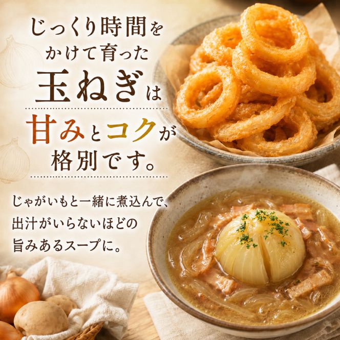 【先行予約】十勝幕別のジャンボ玉ねぎ20kg（3L）【北海道ホープランド農場】 野菜 たまねぎ