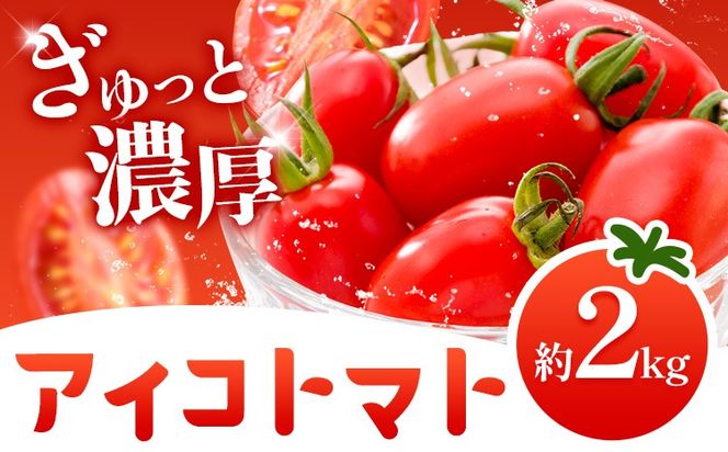 トマト アイコトマト ミニトマト 2kg GOGO農園 《11月上旬-5月末頃出荷》 和歌山県 日高川町 野菜 とまと サラダ カプレーゼ お弁当 青果物---wshg_gof42_11j5m_26_12000_2kg---