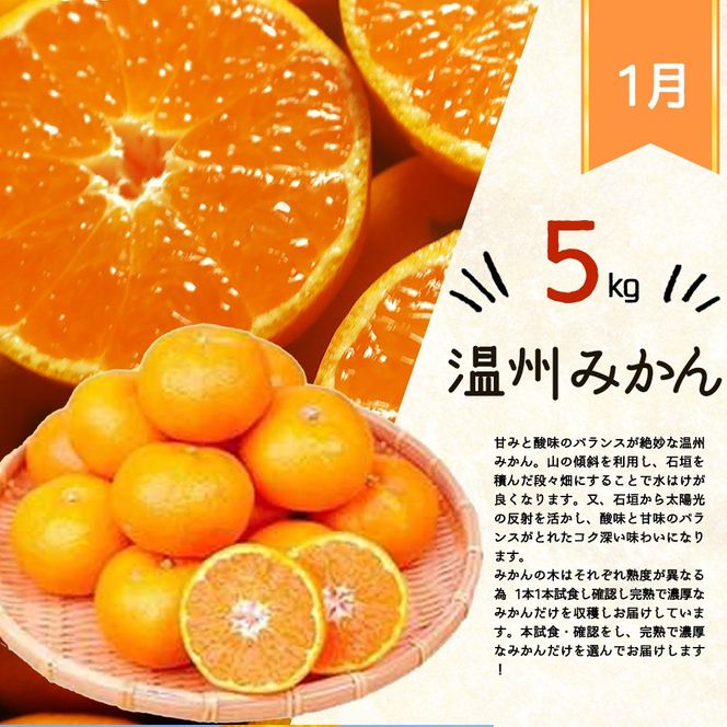 【全3回】紀州和歌山産旬のフルーツ定期便 (みかん・清見オレンジ・桃)【tkb381】