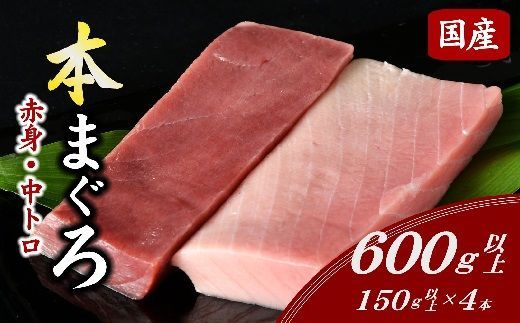 【2-134】国産本まぐろ中トロ赤身冷凍短冊セット　600ｇ以上