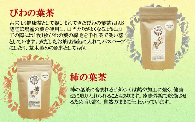 国東産 4種のノンカフェイン健康茶飲み比べセット(箱入り) 桑の葉茶・桑の葉玄米茶・びわの葉茶×2・柿の葉茶×2 計6袋・60包_1986R
