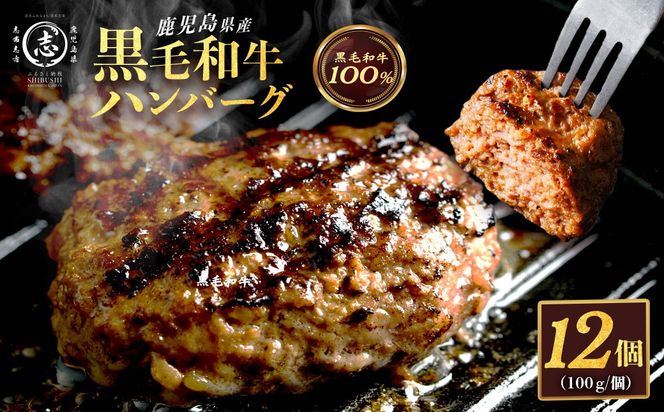 鹿児島県産 黒毛和牛100％！手ごねハンバーグ 1.2kg (100g×12個） a0-406