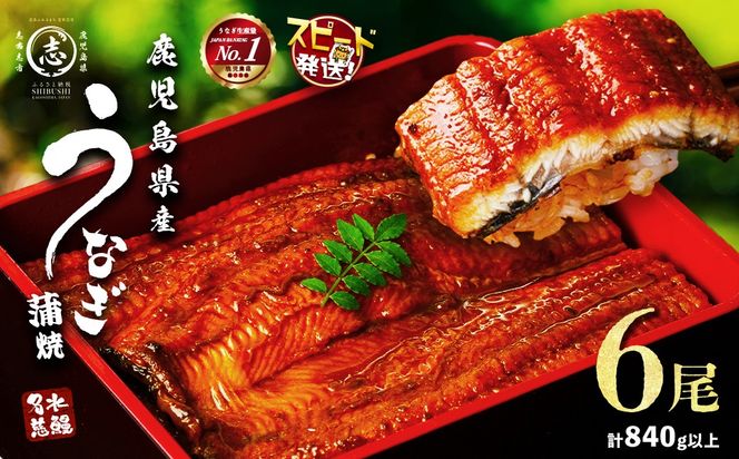 鹿児島県産うなぎ蒲焼 名水慈鰻 6尾＜計840g以上＞ c0-147