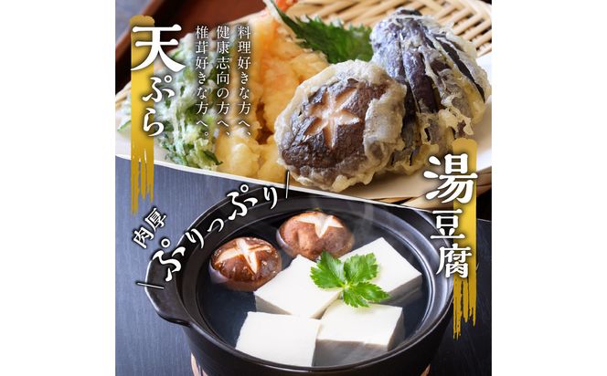 【F07027】大分産乾しいたけと豊後きのこカレーと豊後きのこめし