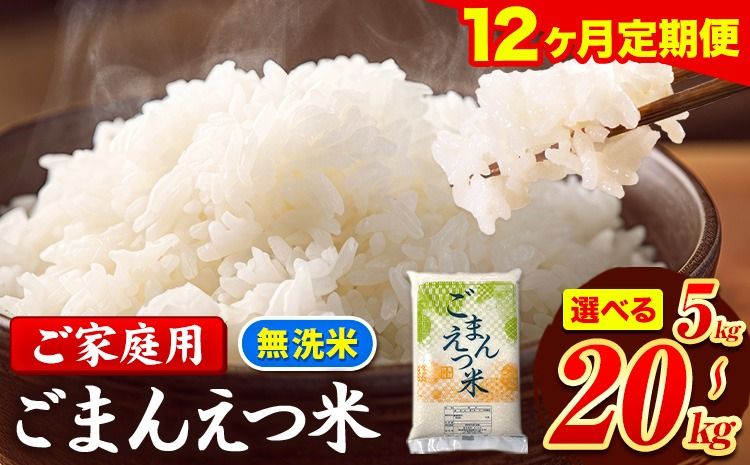 [12ヶ月定期便]訳あり 米 無洗米 ごまんえつ米 選べる内容量 5kg 10kg 15kg 20kg 米 こめ 定期便 家庭用 備蓄 熊本県 長洲町 くまもと ブレンド米 熊本県産 訳あり 常温 配送 [11月出荷開始]---ng_gmntei_5kg_138000_nov12---
