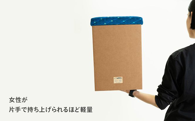 N700系typeA 東海道新幹線 mCB モケットスツール _No.1701377 雑貨 インテリア 日本製スツール 強化ダンボール採用 寝室 リビング 書斎 エコ アップサイクル 再利用 リサイクル 電車 鉄道  国産