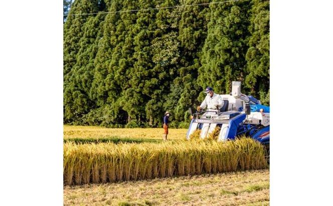 【令和8年産】定期便！農家直送！県認証特別栽培魚沼産コシヒカリ【合計60kg】毎月20kg×3回 精米 ご飯 ブランド米 銘柄米