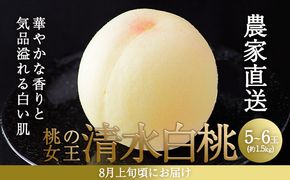 桃 2026年 先行予約 清水 白桃 5～6玉入り(約1.5kg) 贈答用 もも モモ 岡山県 赤磐市産 国産 フルーツ 果物 ギフト 