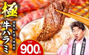 mrz0422 【ふるプレ限定品】牛肉 ハラミ 900g 小分け 300g×3P【氷温熟成×特製ダレ 味付き 牛肉 訳あり 不揃い 焼肉 BBQ 野菜炒め】
