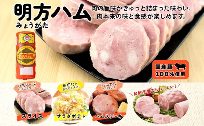 明方 ハム 2本 プレスハム JA ブランド 豚肉 お肉 国産 熟成 塩分 控えめ 豚腸 バーベキュー BBQ 加工品 お取り寄せ 贈答 ギフト 送料無料 めぐみの農業協同組合 岐阜県 美濃市