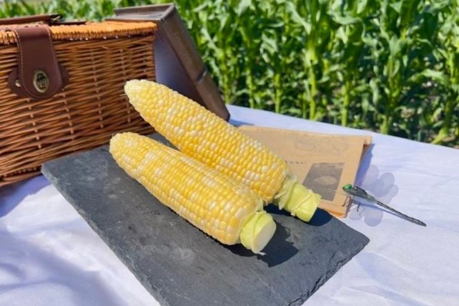 2026年産 とうもろこし ドルチェドリーム 2kg ｜茨城県産 産地直送 甘い あまい ※2026年6月～発送