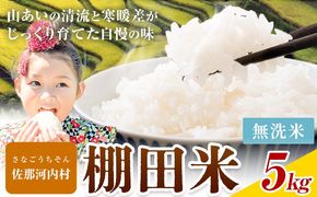 【先行予約】清流と寒暖差が生む村自慢の棚田米 無洗米 5kg《2026年11月以降順次出荷》米---sanagouchi_lcl_133_5kg---