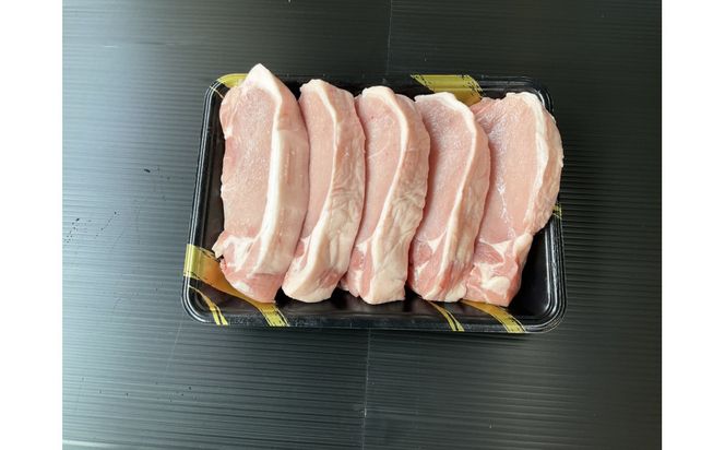 オリーブ豚ロース極厚ステーキ 1000g 372013_KR004