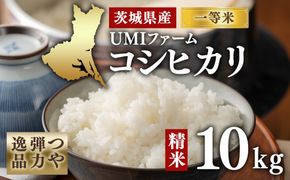 令和7年産　茨城県産コシヒカリ一等米　精米10㎏　つや、弾力逸品