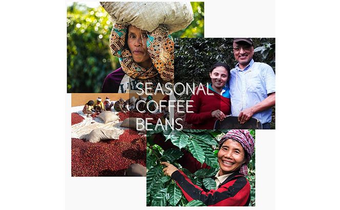 飲み比べドリップコーヒー、2種のスペシャルティコーヒー45杯分 飲料 珈琲 飲料類 ドリンク 