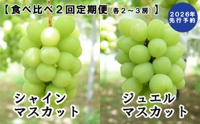 【2026年発送分 先行予約】【２回食べ比べ定期便・別送】シャインマスカット（900g～1.4kg・２～３房）＋ジュエルマスカット（900g～1.4kg・２～３房）　ぶどう シャイン シャインマスカット ジュエルマスカット フルーツ 果物 山梨 やまなし 定期便 食べ比べ 先行予約