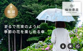 CB035 【槙田商店】晴雨兼用長傘　絵おり　紫陽花　ベージュ