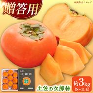【先行予約】秋の味覚！土佐の袋掛け次郎柿 8～11玉 贈答用〈2026年10月〜発送〉 かき カキ 甘い 美味しい おいしい 果物 フルーツ 常温 ギフト 贈り物 故郷納税 ふるさとのうぜい 返礼品 高知県【嬉龍】
