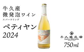 恵野果 牛久ペティヤン 2024 茨城県産 牛久醸造場 日本ワイン ワイン お酒 贈り物 上品 果実 クリスマス 誕生日 微発泡 スパークリング シャルドネ フルーティ 辛口 ライトボディ