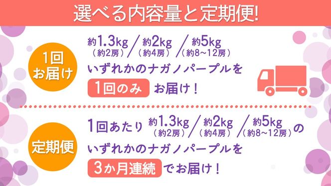 ＼選べる内容量・定期便／ ナガノパープル 約1.3kg ～ 5kg （約2房～12房）　単品（1回）・定期便（3か月連続）【2026年8月より発送開始】（茨城県共通返礼品 [ぶどう]：結城市産） ぶどう ブドウ 葡萄 ナガノパープル 種なし 皮ごと 高級 国産 黒ぶどう 旬 お取り寄せ フルーツ 希少品種 デザート
