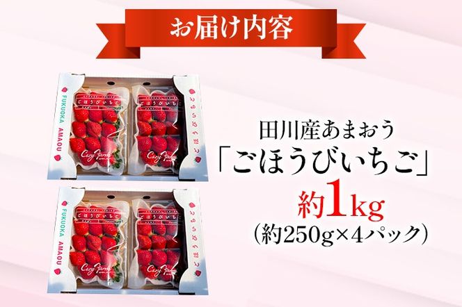 あまおう ごほうびいちご 約1kg（約250g×4パック） ＜2025年1月以降順次発送予定＞ いちご 苺 高品質 完熟 フルーツ 果物 お取り寄せ ご当地グルメ 福岡土産 取り寄せ グルメ 福岡県 食品