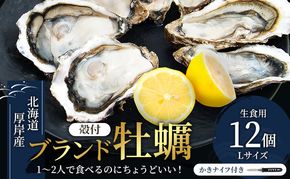 北海道厚岸産 牡蠣 Lサイズ 1ダース（12個入り） 生食用 生牡蠣 貝付き牡蠣 貝 海鮮 魚介類 シーフード 殻付き牡蠣 マルえもん メルマガ掲載商品1 