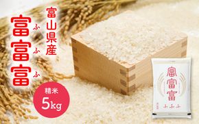 【令和7年産 新米】富富富＜ふふふ＞精米 5kg / お米 おこめ 米 ごはん 白米 ブランド米