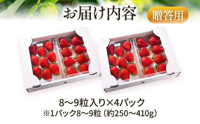 あまおう 8～9粒入り×4パック （先行受付／2025年1月以降順次発送予定）いちご 大粒 不揃い DX デラックス エクセレント 苺 イチゴ 福岡高級 フルーツ 土産 福岡県