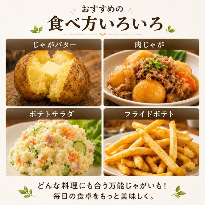 じゃがいも きたあかり 5kg 産地直送 農家直送 野菜 キタアカリ  甘い ホクホク ポテトサラダ コロッケ じゃがバター 常温 保存 備蓄 大容量 サイズ 不揃い 混合 家庭用 おうちごはん 送料無料　大河原町