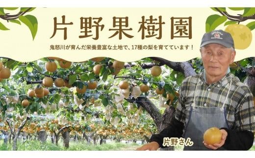 ＜ 先行予約 ＞【選べる内容量 / 品種】【最短2025年8月上旬以降発送】片野果樹園 幸水 豊水 新星 かおり 新高 王秋 梨 約 3kg 5kg 幸水梨 なし ナシ フルーツ 果物 旬 産地直送 国産 茨城県 こうすい ほうすい しんせい にいたか おうしゅう